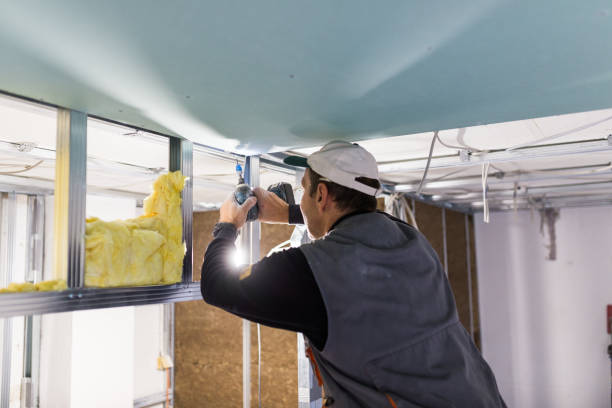 Best Insulation for Specific Applications in Albany, CA