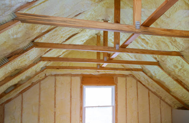 Best Specialized Insulation Services in Albany, CA