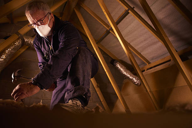 Best Blown-in Insulation in Albany, CA