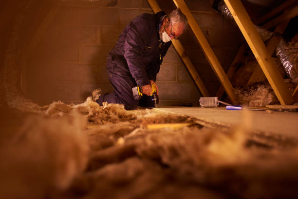 Best Residential Insulation in Albany, CA