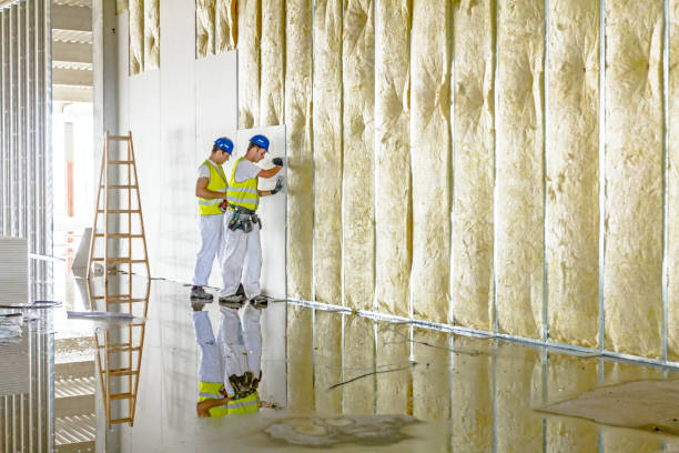 Best Fiberglass Insulation in Albany, CA